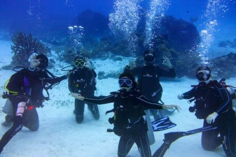 Try Scuba Diving in Tulum Dive Machine Experience - An Introduction to the Tour