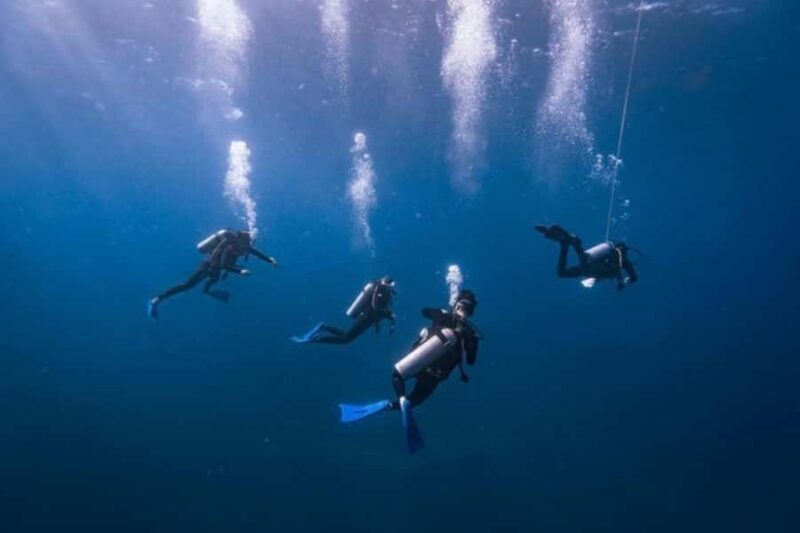 Try Scuba Diving in Tulum Dive Machine Experience - What Sets This Tour Apart