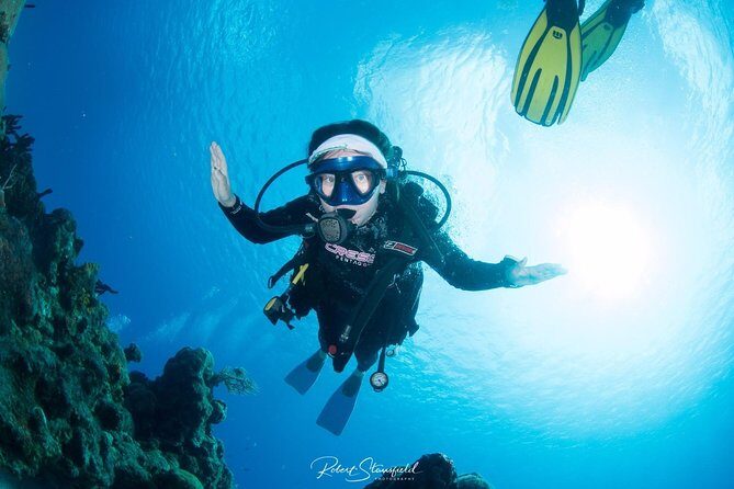 Try Scuba Diving - No previous experience! - An In-Depth Look at the Experience