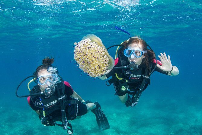 Try Scuba in Crete  Free Certification & Photos (Beginners) - What Makes This Try Scuba Tour Stand Out?