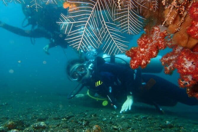 TRY SCUBA (SSI Basic Diver)  Your First Dive Experience in Bali - FAQs