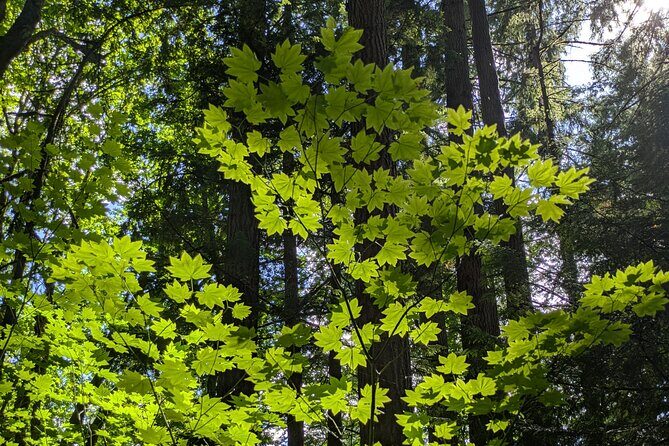 Tryon Creek Eco-tour With a Master Naturalist - Who Should Consider This Tour?