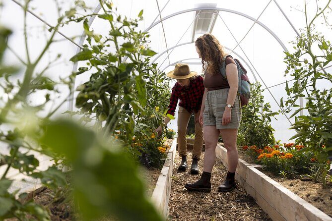 TSS Earnslaw Cruise & Walter Peak Garden to Table in Queenstown - Final Thoughts