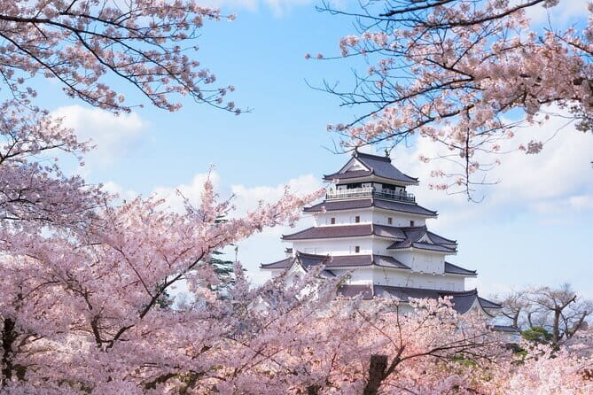 Tsuruga Private Customizable Full Day Tour - Exploring Tsuruga: A Fully Customizable Private Day Tour