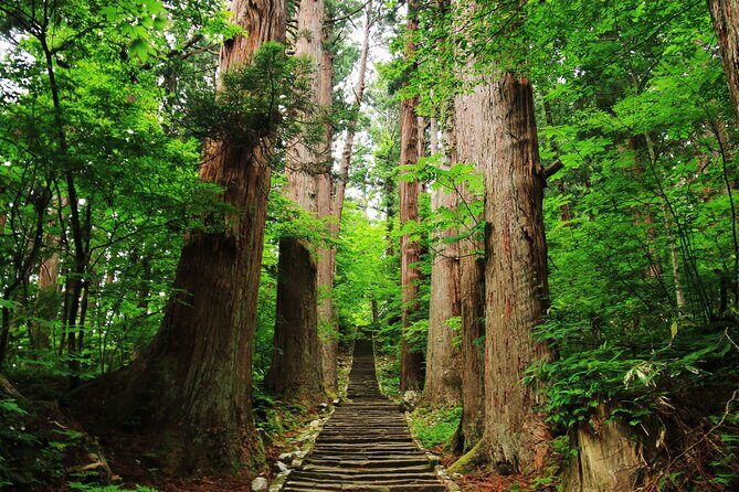 Tsuruoka & Dewa-Sanzan Full-Day Private Tour with Government-Licensed Guide - Why This Tour Offers Great Value