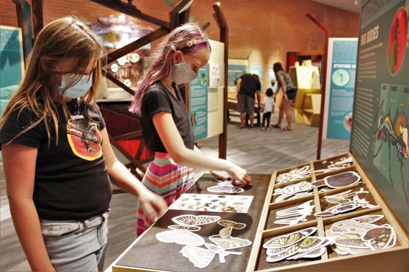 Tucson: Flandrau Science Center Entry Ticket - A Deep Dive into the Experience