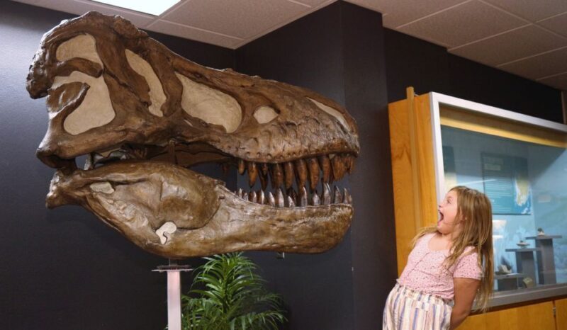 Tucson: Flandrau Science Center Entry Ticket - FAQ