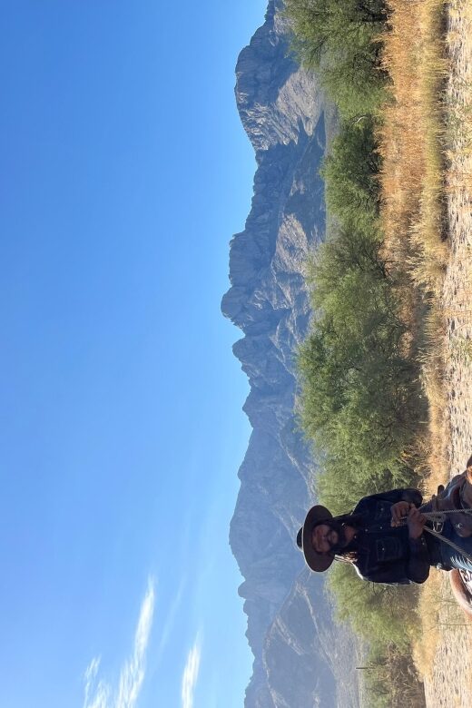 Tucson: Guided Horseback Ride - The Scenic Highlights