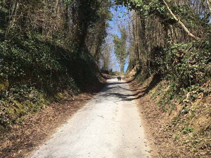 Tuheljske Toplice: Do Spomenika hrvatskoj majci pjeaenjem - An In-Depth Look at the Experience