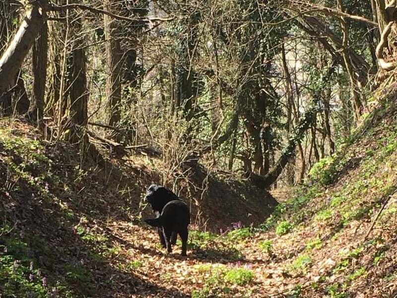 Tuheljske Toplice: Do Spomenika hrvatskoj majci pjeaenjem - The Sum Up