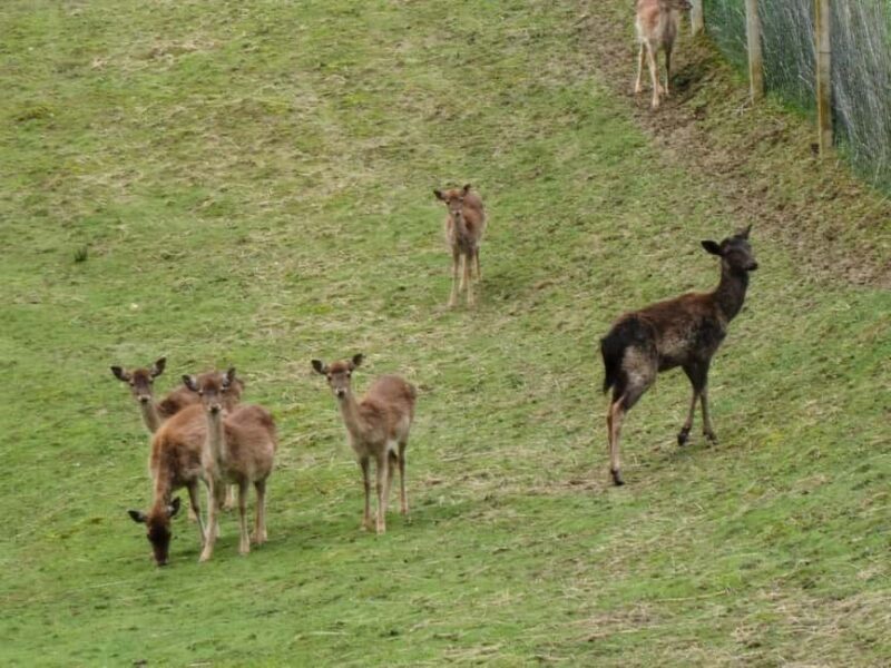 Tuheljske Toplice: Klanjec Wineries Tour by E-Bike - Final Thoughts