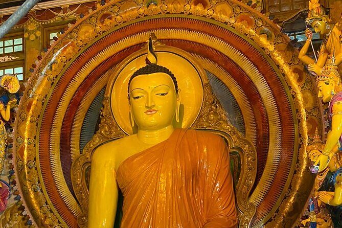 Tuk Tuk Private Safari Tour Exploring Sri Lanka's Capital Colombo - What Makes This Tour Stand Out?