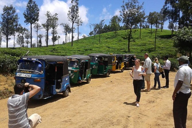 Tuk Tuk safari and Picnic in The Tea Plantation from Ella,Haputale & Bandarawela - What’s Praised by Travelers