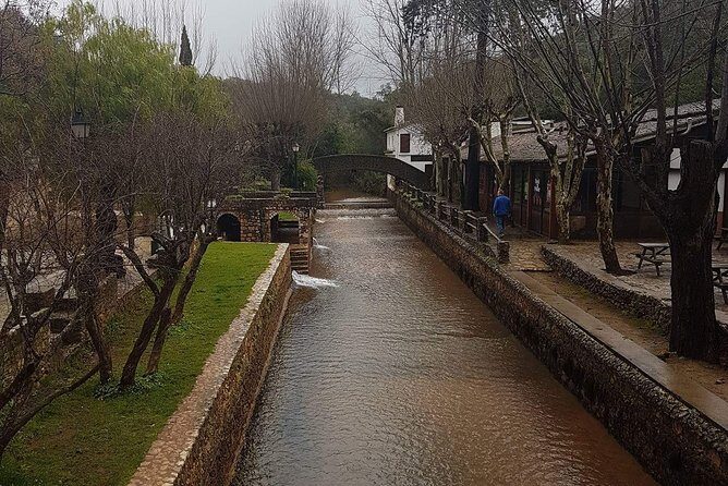 Tuk tuk tour- the best way to see coast and country side - An In-Depth Look at the Itinerary