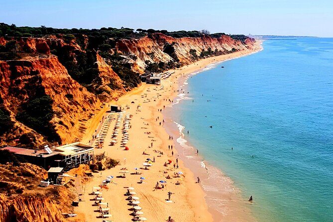 Tuk tuk tour- the best way to see coast and country side - Who Will Love This Tour?