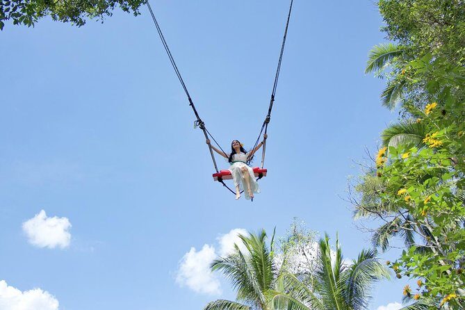 Tukad Cepung Waterfall, Bali Swing & Traditional Village Day Tour - An In-Depth Look at the Tour Experience