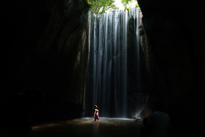 Tukad Cepung Waterfall, Bali Swing & Traditional Village Day Tour - What’s Included & Practical Details