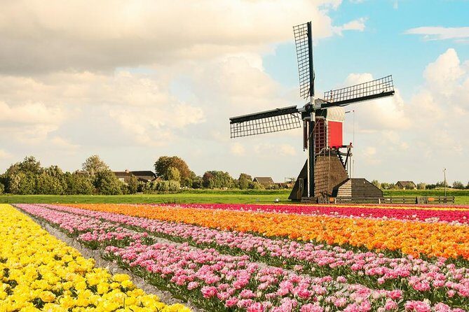 Tulip Experience and Keukenhof Flower Gardens Tour from Amsterdam - The Experience in Detail
