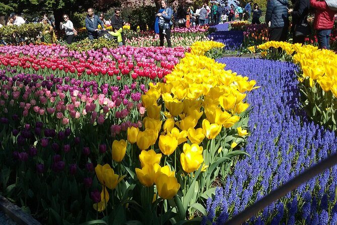 Tulip Festival and Skagit Valley Tour - Final Thoughts: Why You Should Consider This Tour