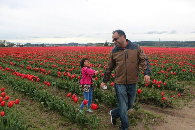 TULIP Festival @ Skagit Valley, La Conner & Deception Pass in SUV - FAQ