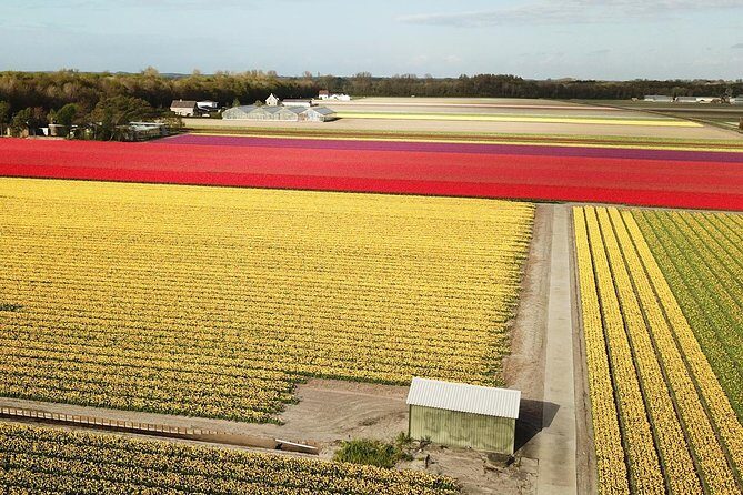 Tulip Fields Tour near Keukenhof - Self-drive with Audio Guide - The Sum Up: Is This Tour Worth It?