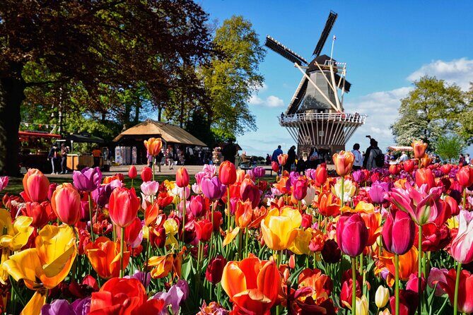 Tulip Paradise: Keukenhof Half-Day Private Tour - Exploring the Itinerary in Detail