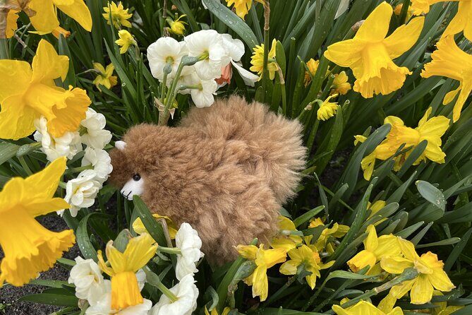 Tulip Paradise: Keukenhof Half-Day Private Tour - Final Thoughts — Who Would Love This Tour?