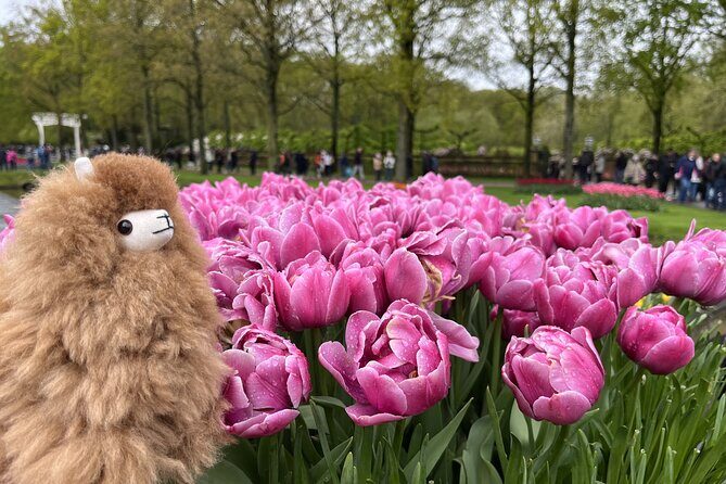 Tulip Paradise: Keukenhof Half-Day Private Tour - FAQ