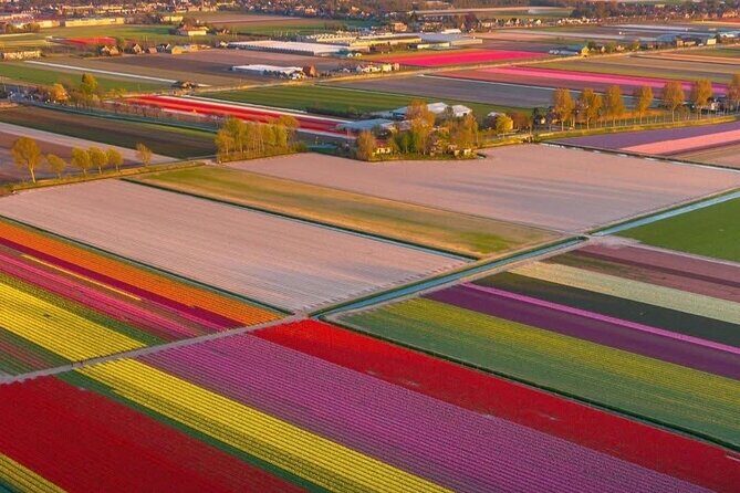 Tulips and Windmills Skip the Line Private Tour from Amsterdam - Who Is This Tour Best For?