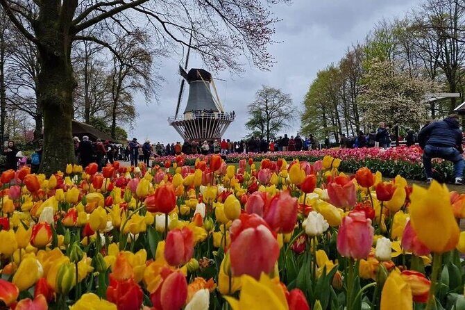 Tulips and Windmills Skip the Line Private Tour from Amsterdam - FAQ