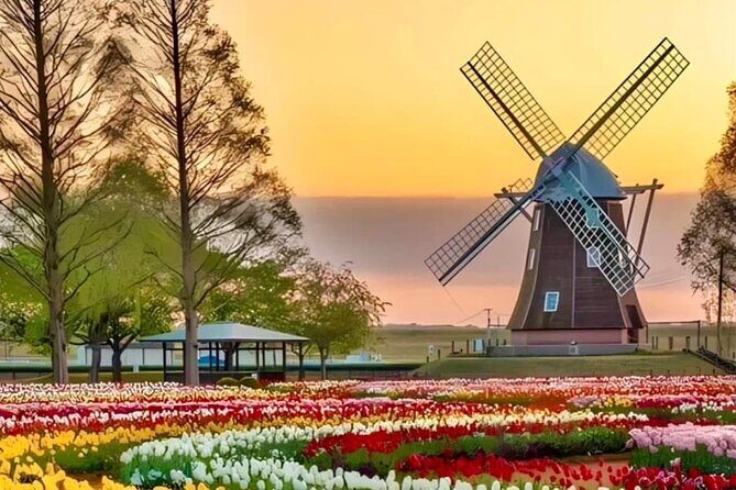 Tulips and Windmills Skip the Line Private Tour from Amsterdam - Final Thoughts