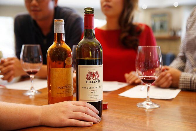 Tulloch Wines- Tasting of 6 Pokolbin Dry Red Shiraz Vintages with Charcuterie - Practical Tips