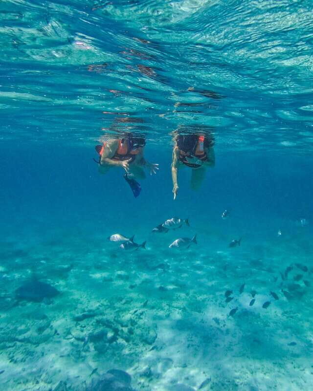 Tulum: 2-Hour Snorkeling in Two Spots of Tulum's Reef - Key Points