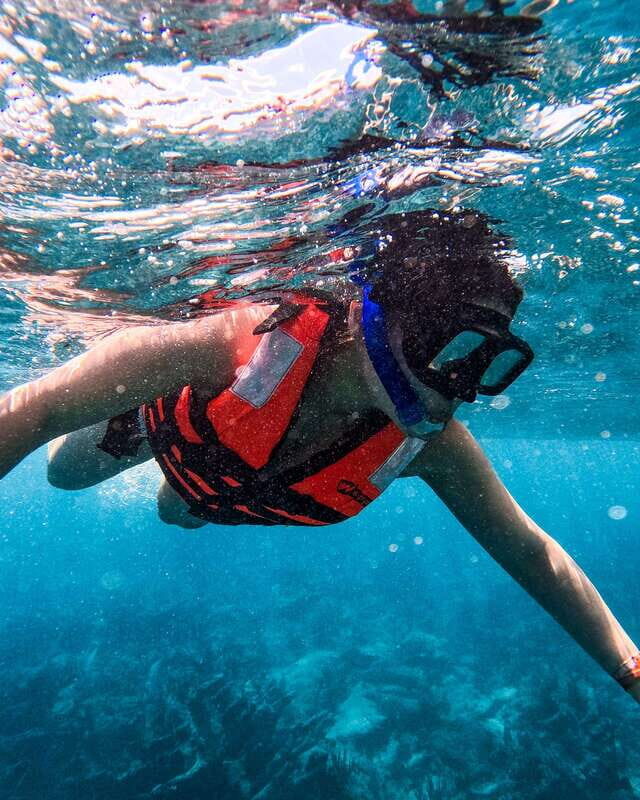 Tulum: 2-Hour Snorkeling in Two Spots of Tulum's Reef - Potential Drawbacks