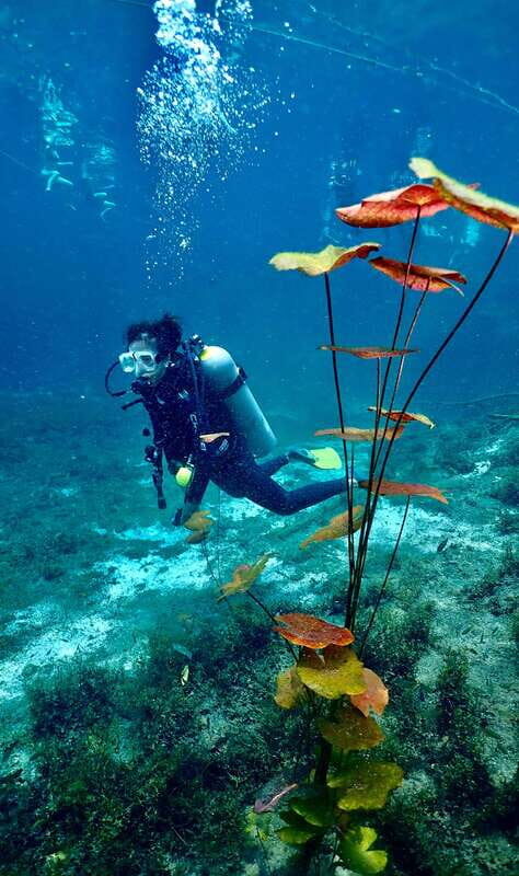 Tulum: 2 Tank Cenote Dive - Introduction: What to Expect from the Tulum Cenote Adventure