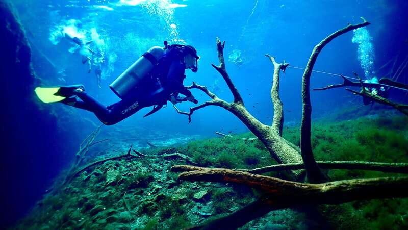 Tulum: 2 Tank Cenote Dive - The Itinerary: Step-by-Step Breakdown