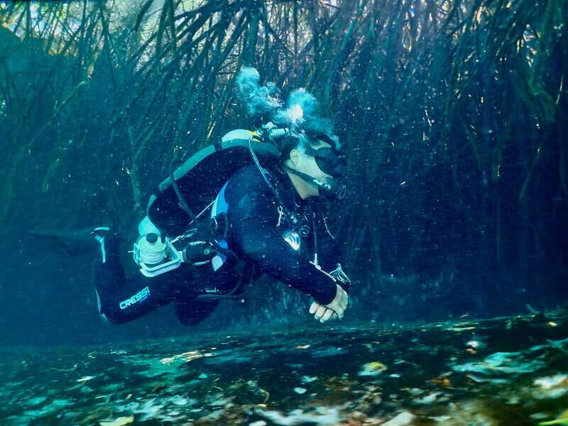 Tulum: 2 Tank Cenote Dive - Cost and Value: Is It Worth It?