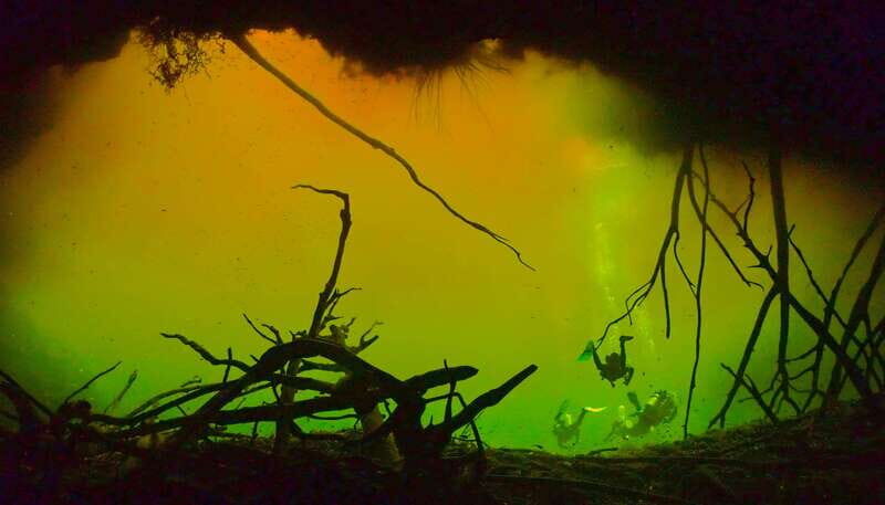 Tulum: 2 Tank Cenote Dive - The Sum Up