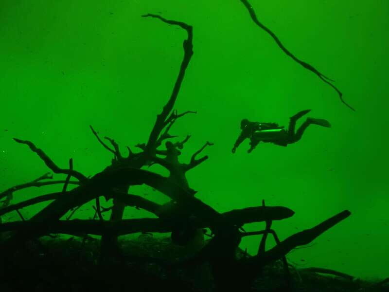 Tulum: 2 Tank Cenote Dive - FAQ