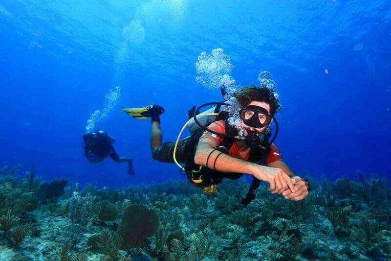 Tulum: 2 Tank Reef Diving - An Authentic Dive into the Tulum Marine World