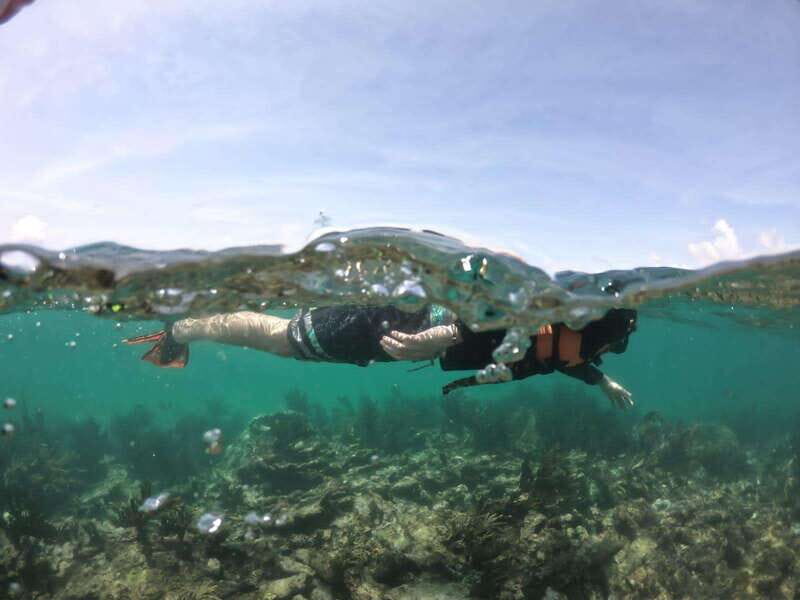 Tulum: 3 hour Snorkel & sailing experience - Practical Details and Considerations