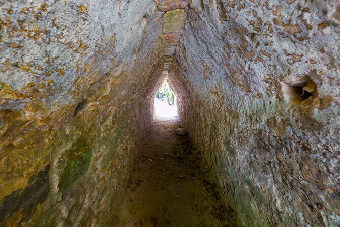 TULUM 4x1: Archaeological Zone, COBA, Cenote, 5th Avenue and lunch. - Transportation and Group Size