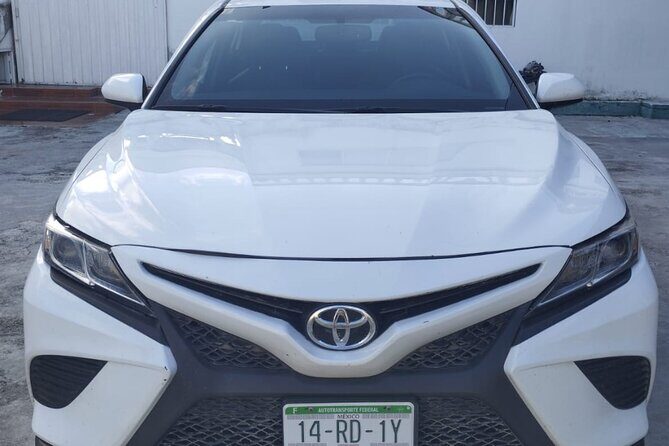 Tulum Airport Private Transfer to Hotels and Airbnbs - The Setup: What to Expect From the Service