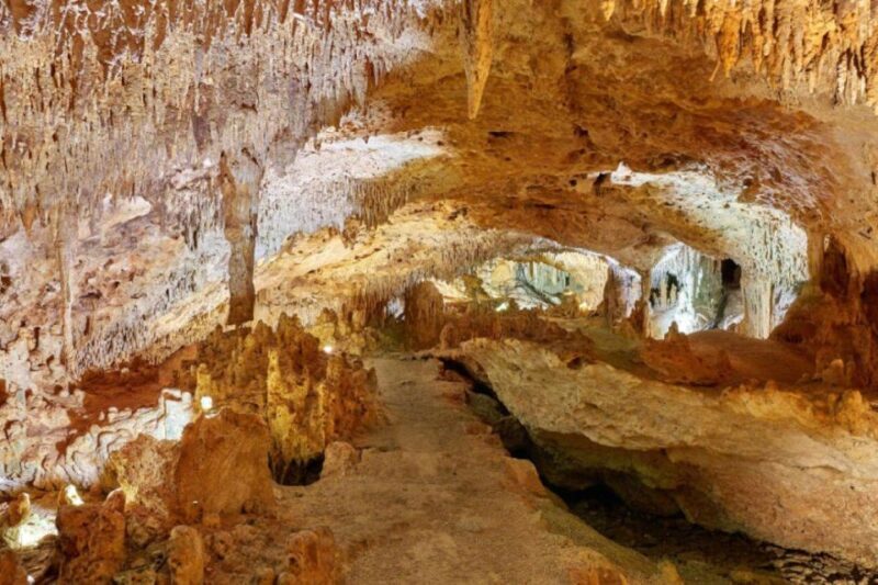 Tulum: Akumal Turtles and Underground Cenote Swim Tour - An In-Depth Look at the Tour Experience