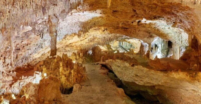 Tulum: Akumal Turtles and Underground Cenote Swim Tour - Why We Think This Tour Offers Real Value