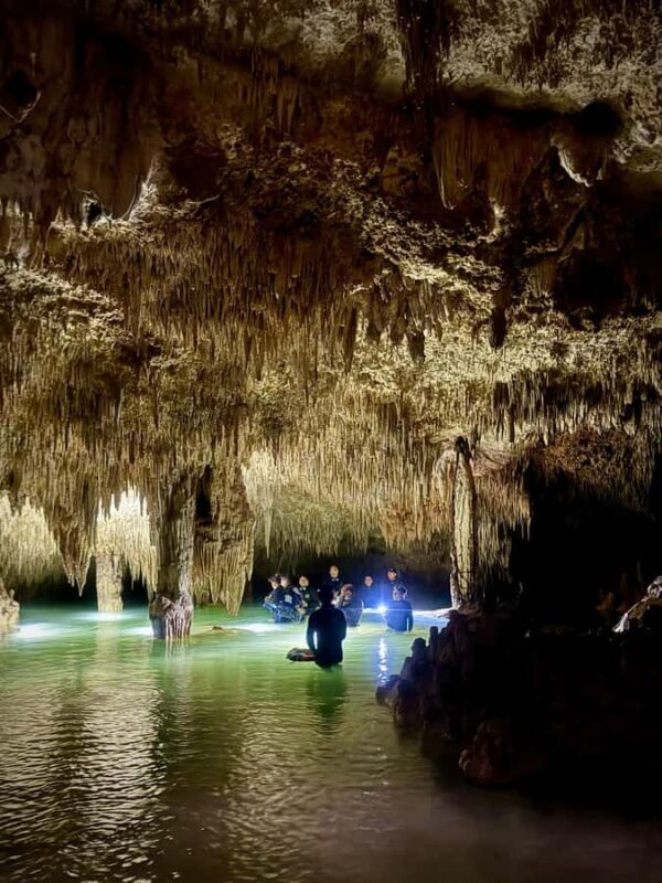 Tulum: Ancestral Waters Cave Cenotes Jungle Walk & Meal - Authenticity & Value: What Makes This Tour Stand Out