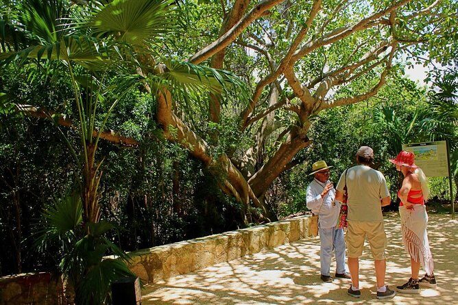 Tulum and Cenote Casa Tortuga Day Trip - FAQ