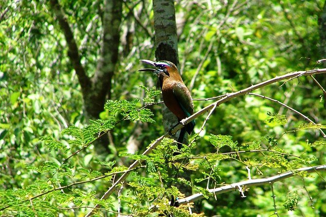Tulum Archaeological Site & Sian Ka'an Muyil Tour from Tulum - Frequently Asked Questions