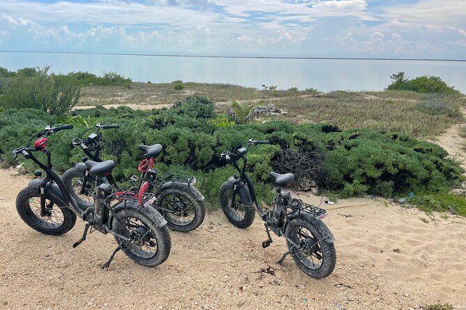 Tulum Area Experiences E-Bike Daily Rental - Exploring Tulum on Your Terms: What to Expect