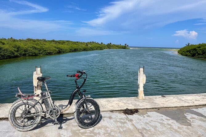 Tulum Area Experiences E-Bike Daily Rental - Value for Money and Who It’s Best For